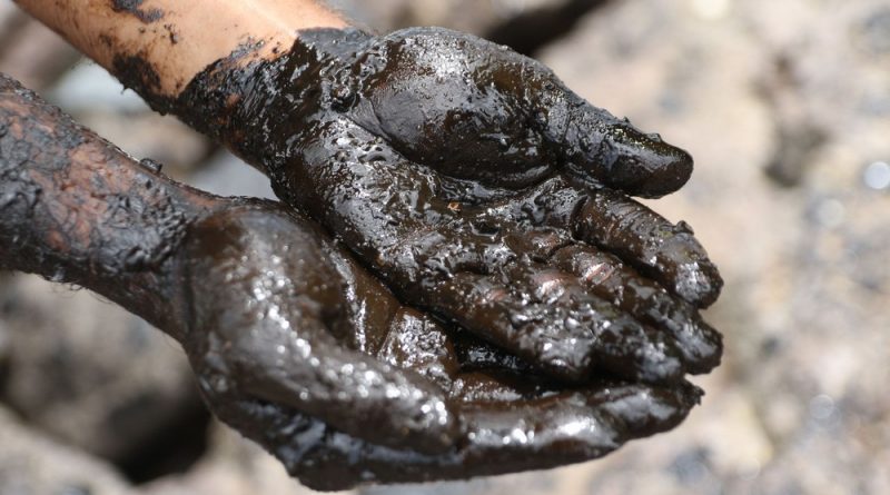 Voluntários retiram óleo da Pedra do Xaréu, no Cabo de Santo Agostinho, Litoral Sul de Pernambuco